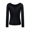 Sheer V-Neck Long Sleeve
